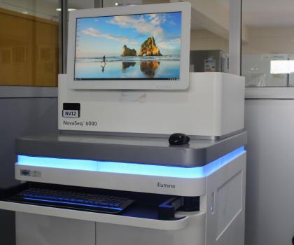 Novaseq 6000