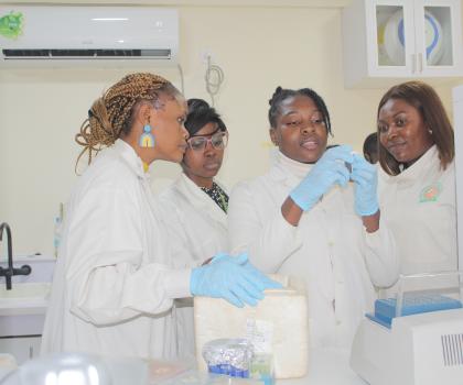 Image de la galerie pour l'objectif