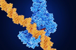 Fly bioassay service 