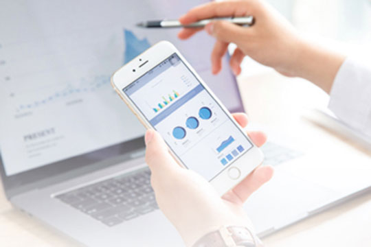 Drosophila library service